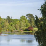 5 National Trust Days Out Near Sheffield