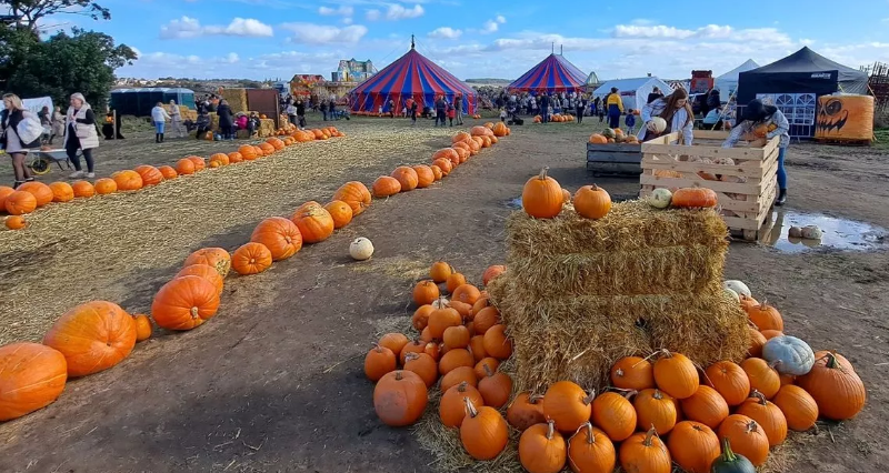 Top 5 Pumpkin Patches Near Sheffield (All Within 45 Minutes!)